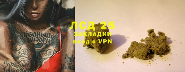 прущие грибы Балахна