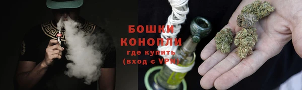 прущие грибы Балахна