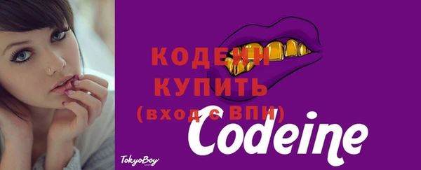 прущие грибы Балахна
