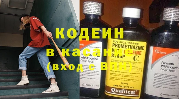 прущие грибы Балахна