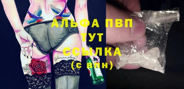 прущие грибы Балахна